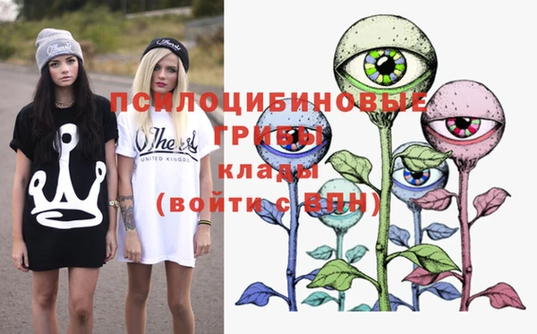 МДПВ Алзамай
