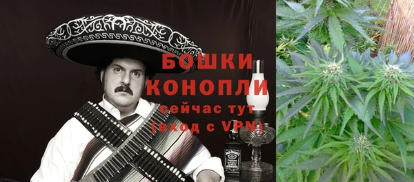 спайс Алексин